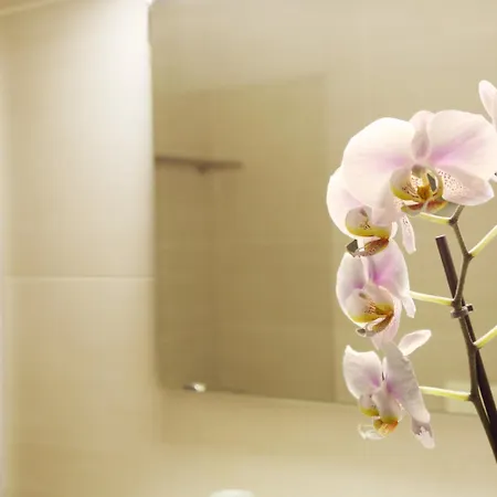 Hotel Landgasthof Baumgartner